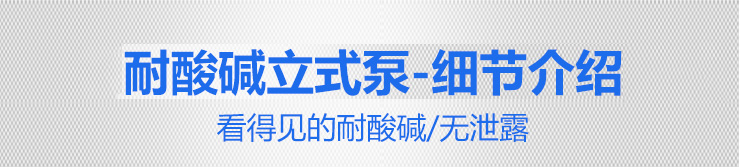 1KP立式泵細(xì)節(jié)介紹