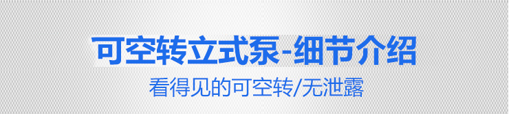 可空轉(zhuǎn)耐腐蝕立式泵細節(jié)介紹